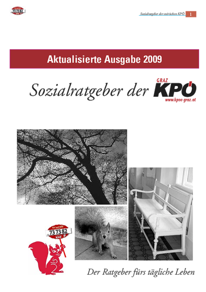 Herunterladen: ratgeber_09.pdf Dateivorschau: ratgeber_09.pdf