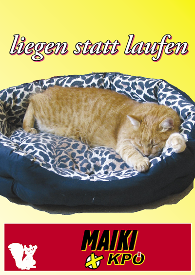 liegenstattlaufen.pdf