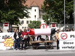 Schweinespaziergang_18_05_2012_a.jpg