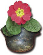 helmmitblume.jpg