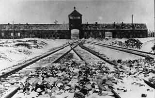Auschwitz-Foto-Stanisław-Mucha-Bundesarchiv-wikimedia-commons.jpg