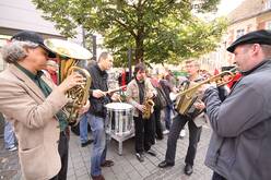 maidemo_graz09_kp_12.jpg