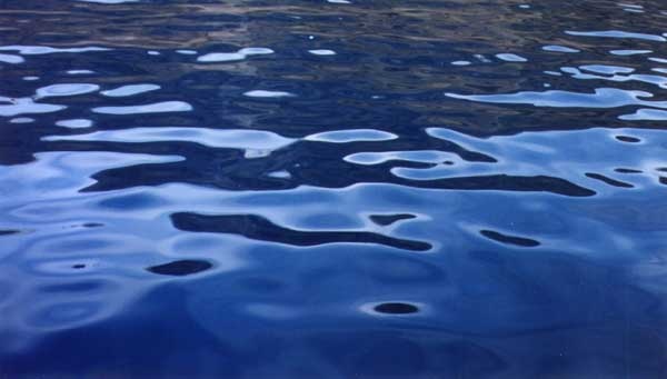 Streitpunkt Trinkwasser: Das sagt Graz im UVP-Verfahren zum Kraftwerk Stübing